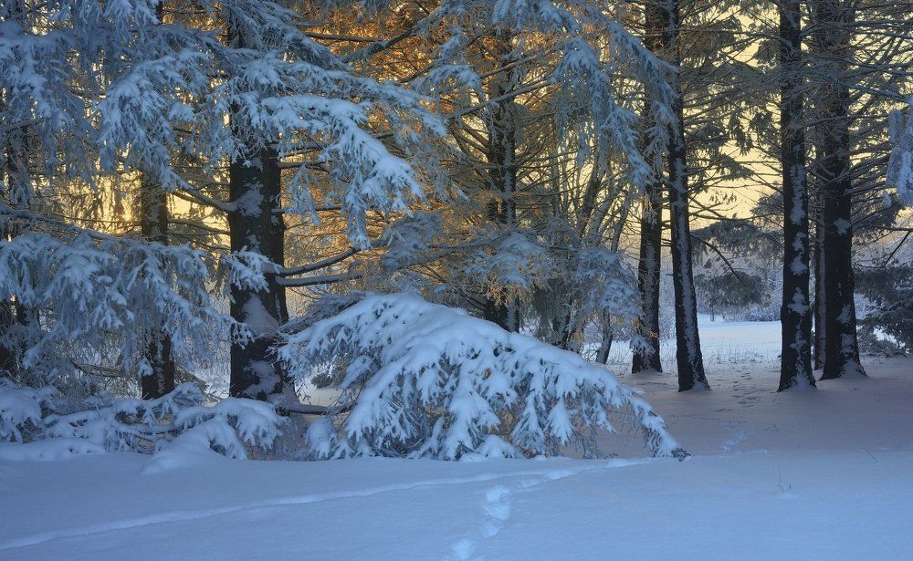 Зимнее утро