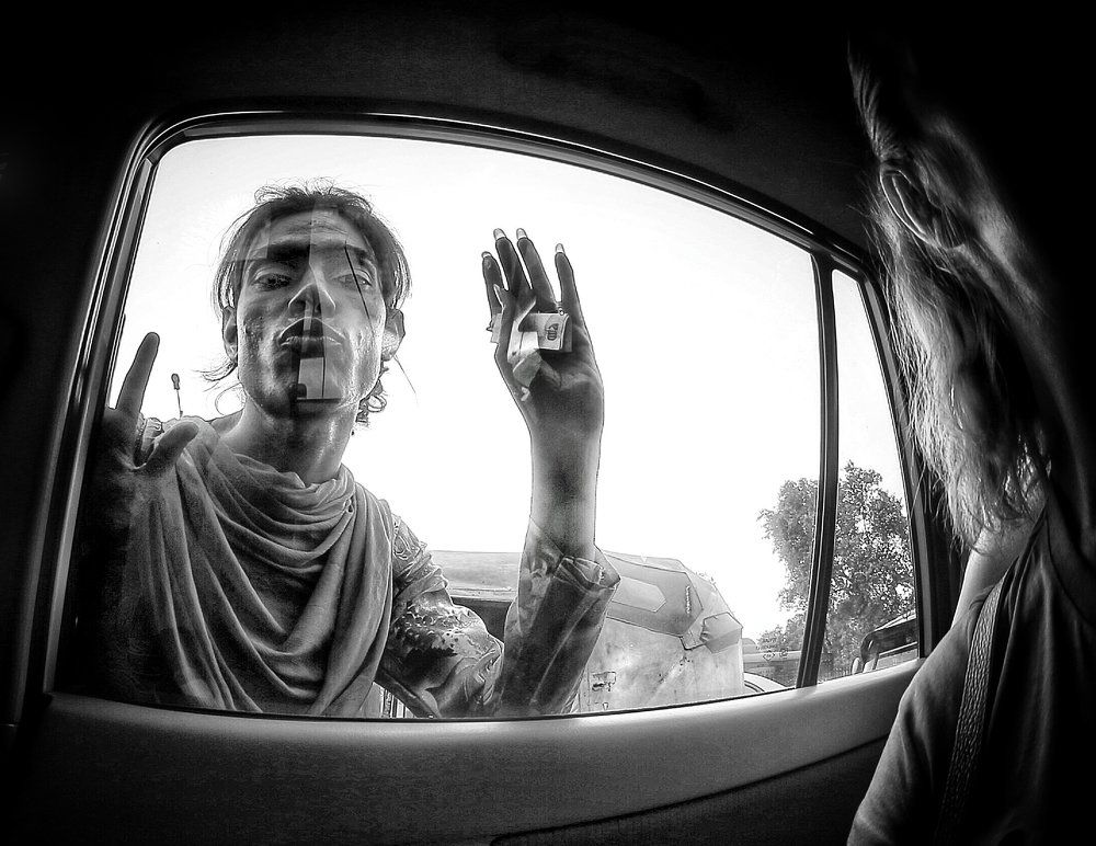 Жизнь за стеклом