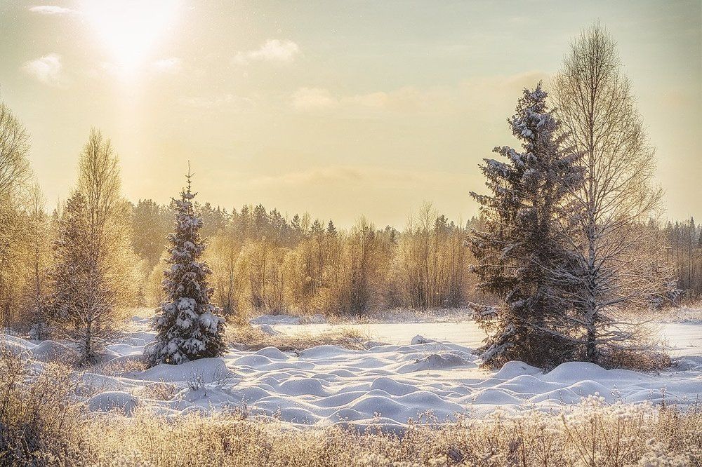 Winter noon, a bright light.