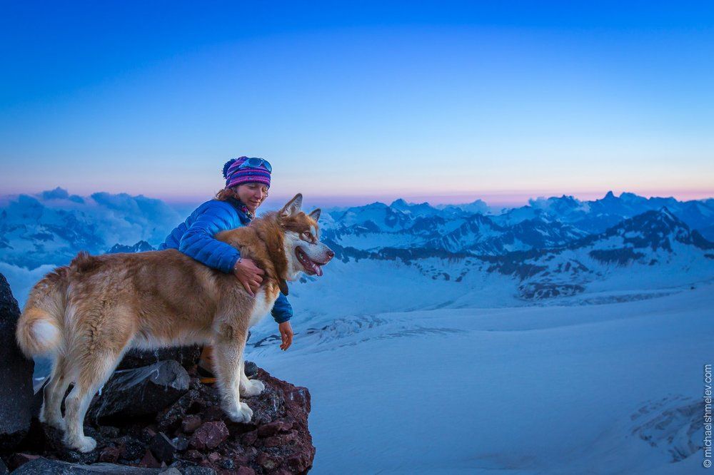 Лучший друг