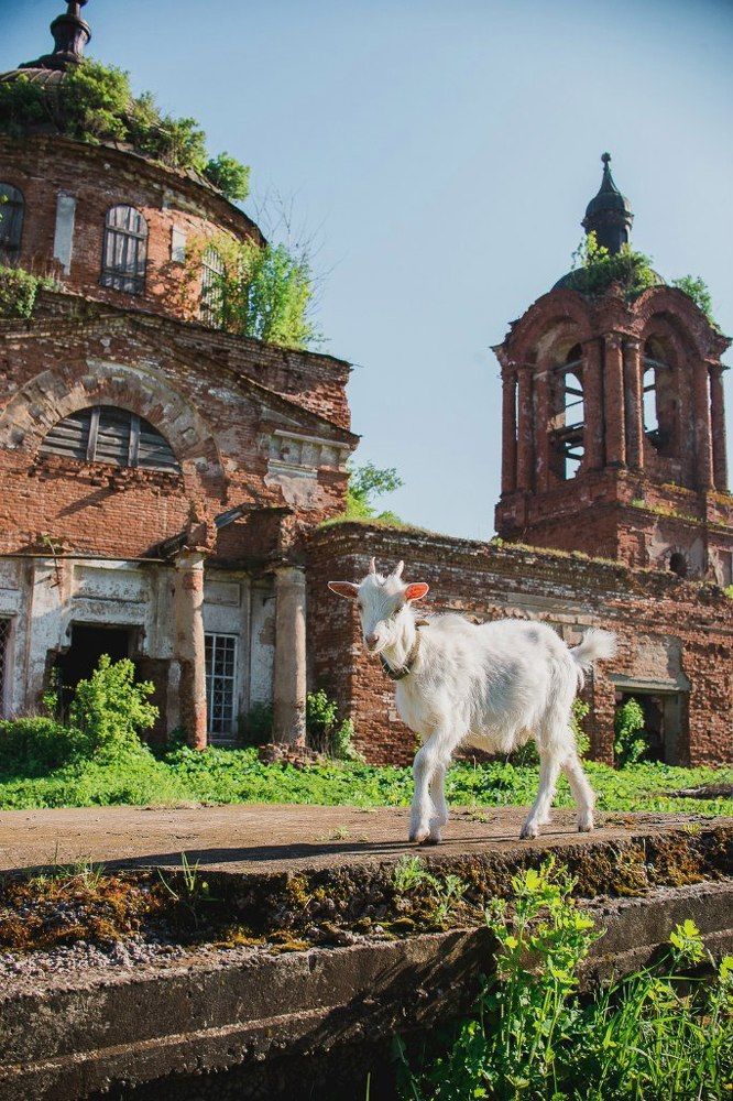 Photograph by Давыдова Гульгена