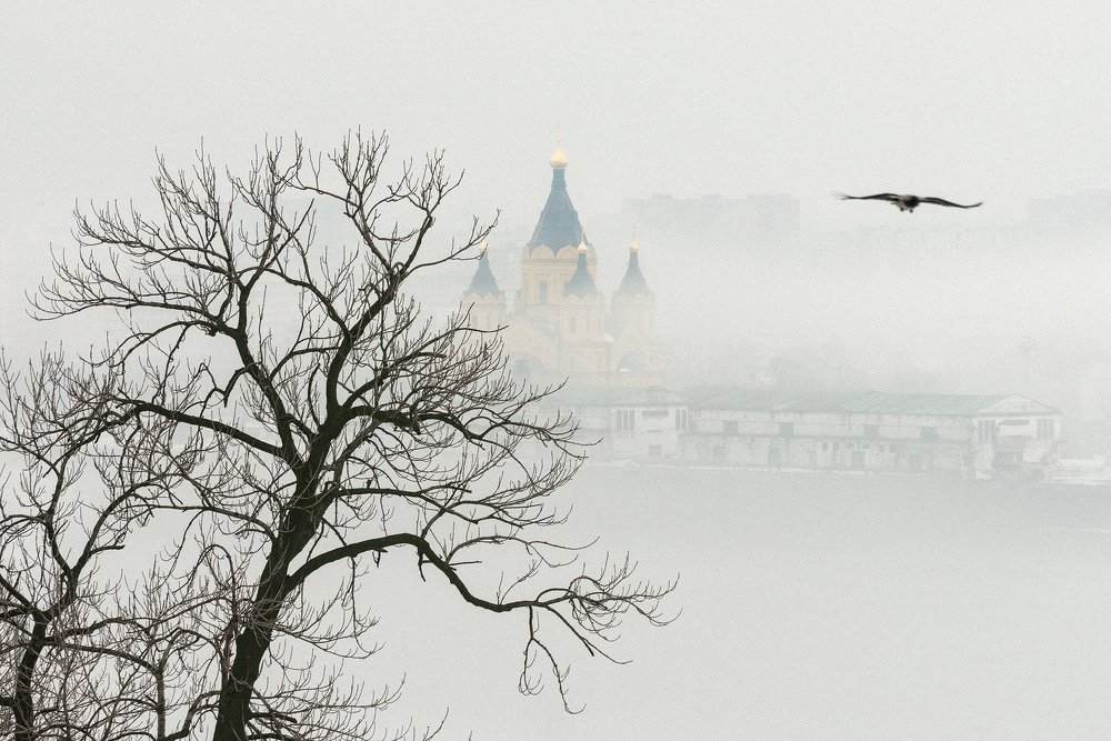 Парить над мглой