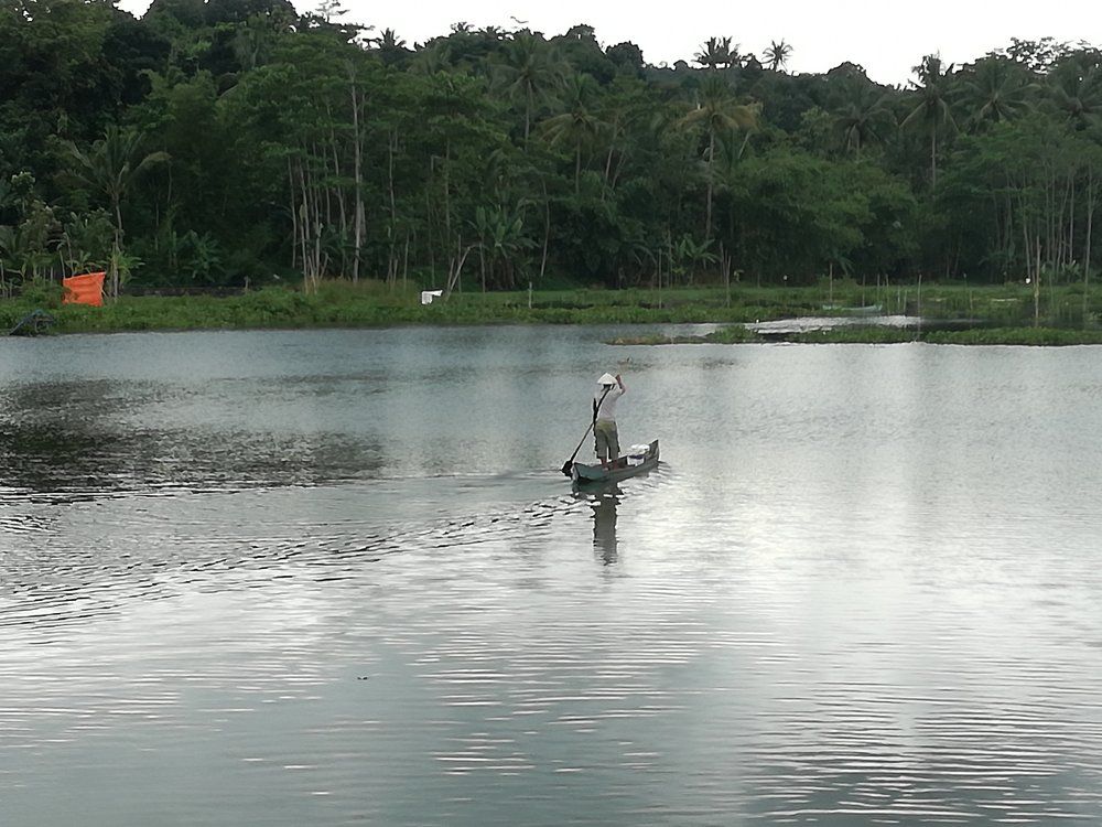 mencari ikan