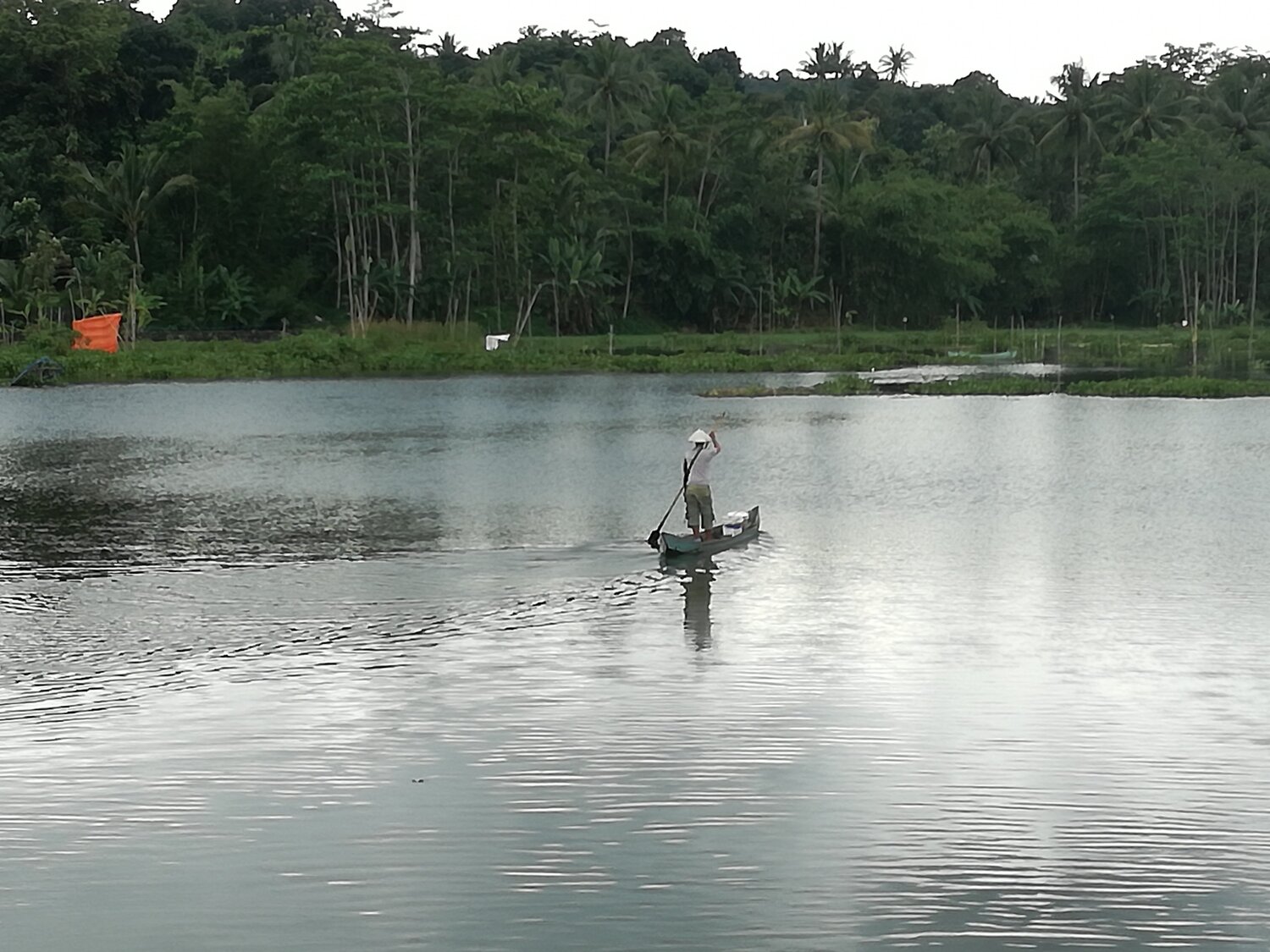 mencari ikan