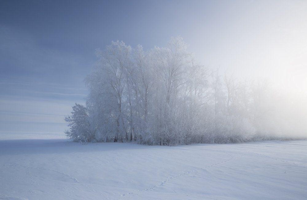 Морозное утро