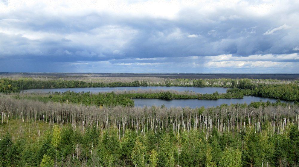 Заповедное место