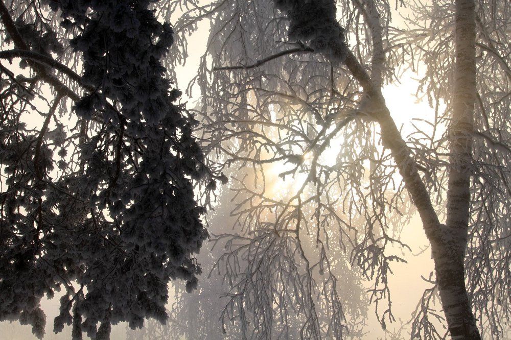 Февральский восход