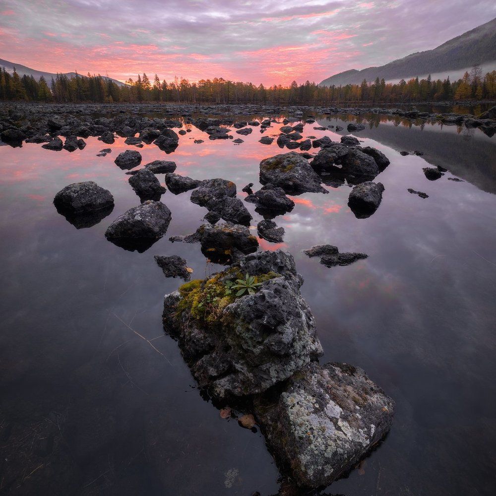 Каменный цветок