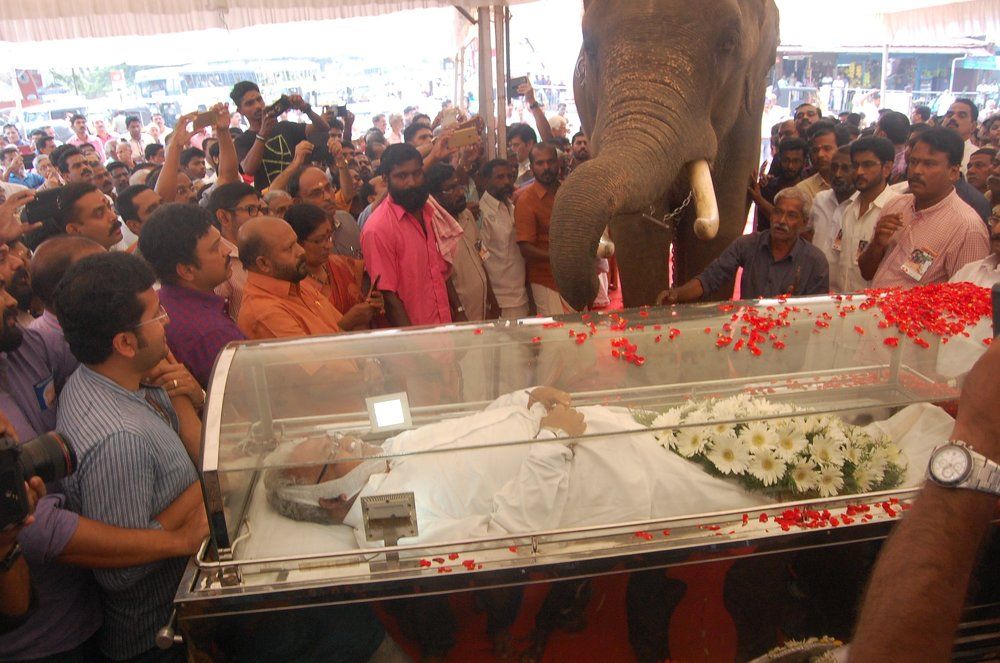 tribute of elephant....