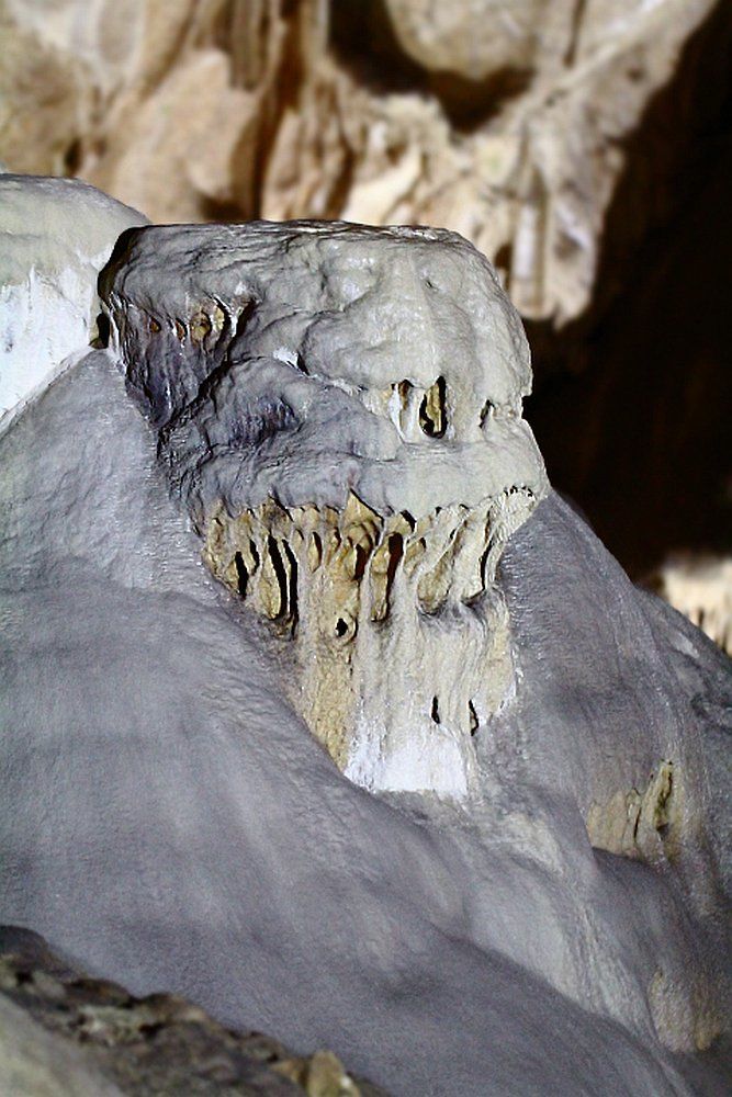 Череп гигантского скелета...