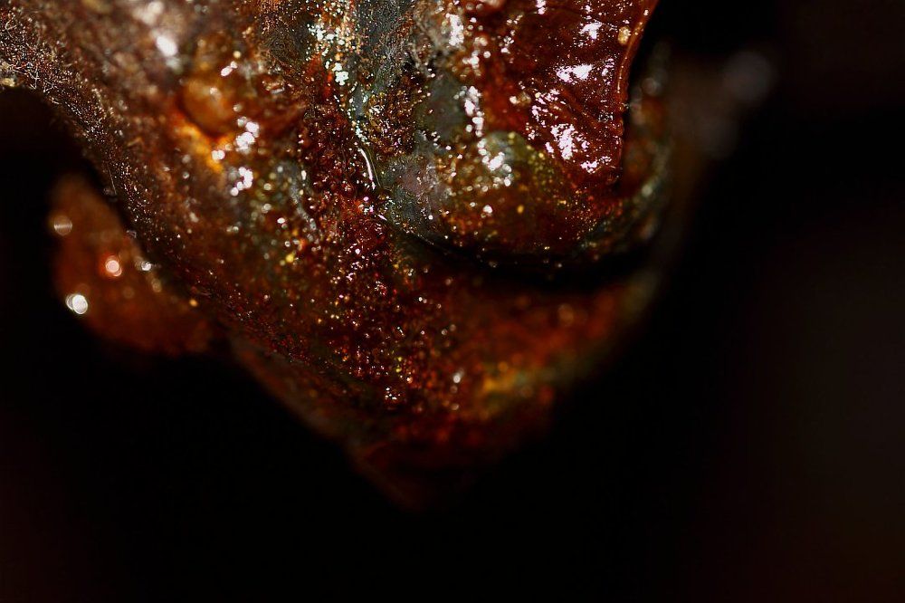 Смола, просто смола, а не то что вы подумали...