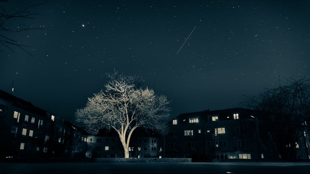 загадай желание