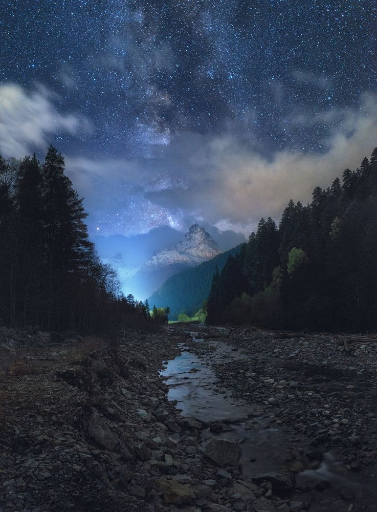 Волшебный Лес