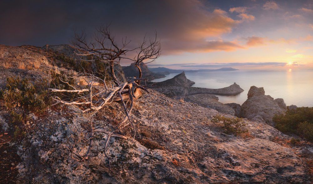 Утро "Нового Света"