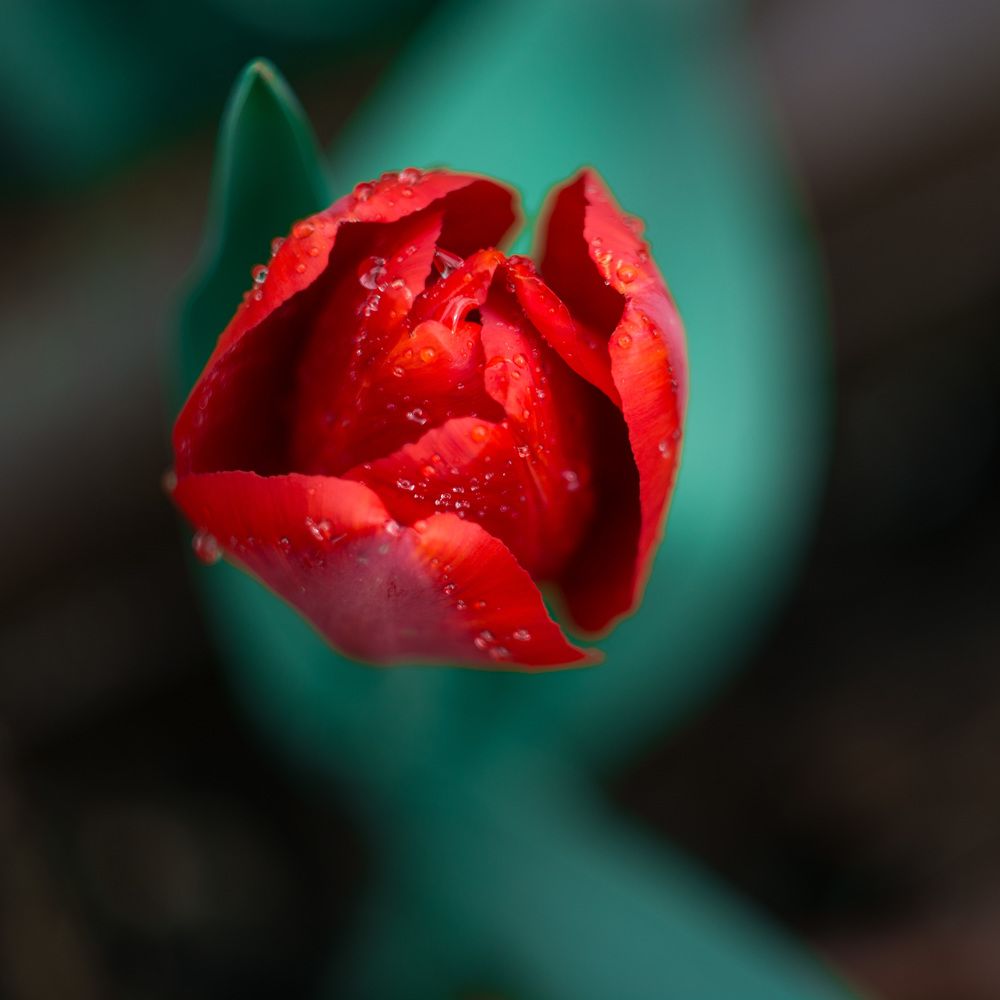 Photograph by Беликова Людмила