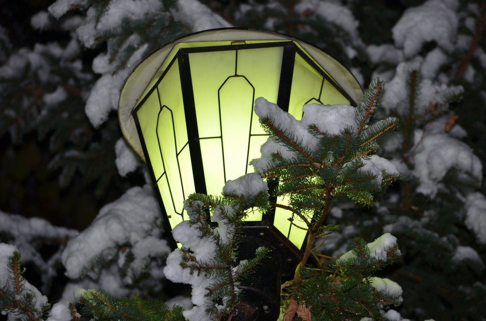 В старом парке...