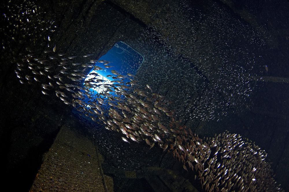 Жизнь после смерти