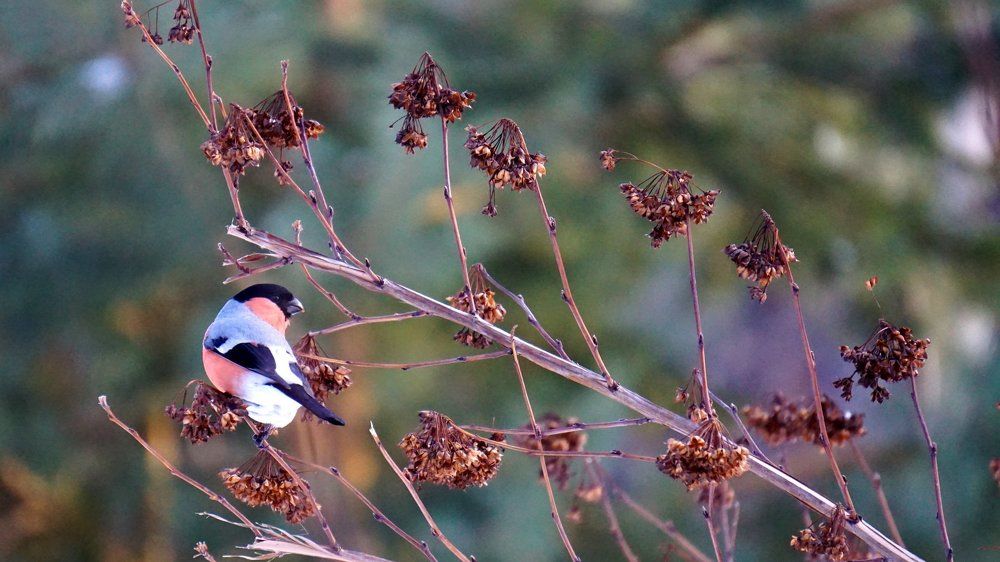 Я оглянулся посмотреть, не оглянулась ли она...