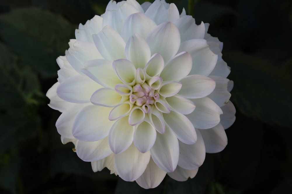 Белое солнце