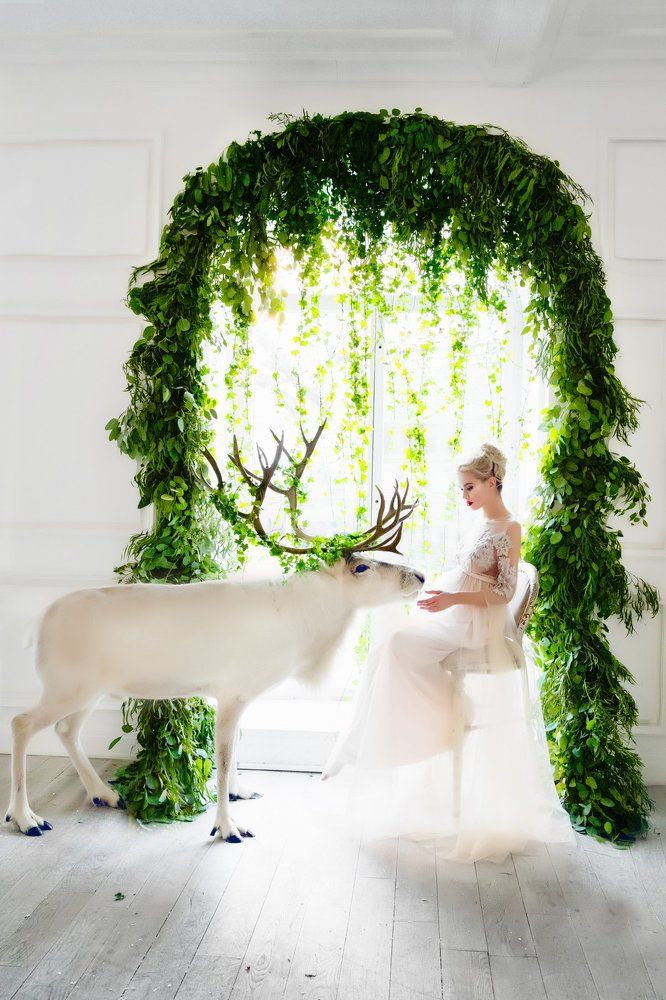 Photograph by Екатерина