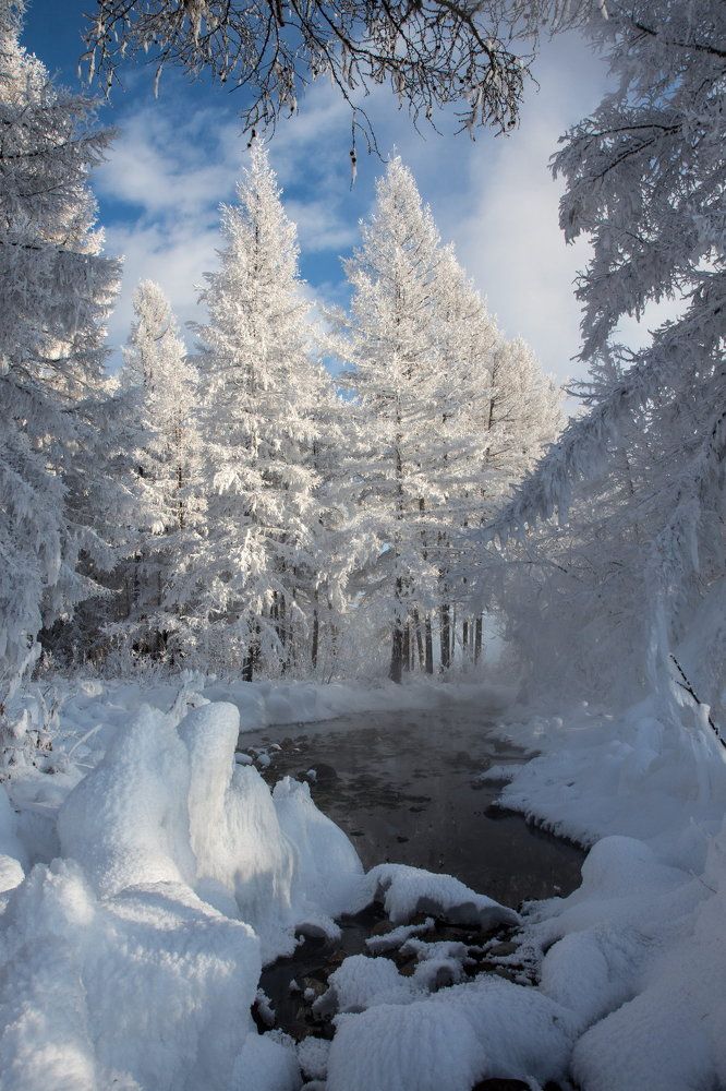 Сибирская сказка...
