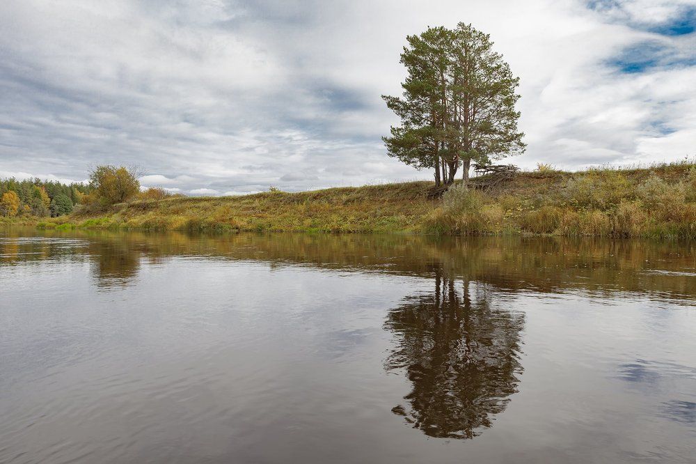 По Мологе...