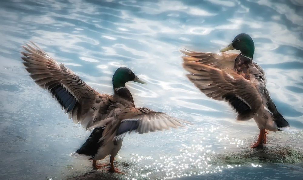 утро начинается...