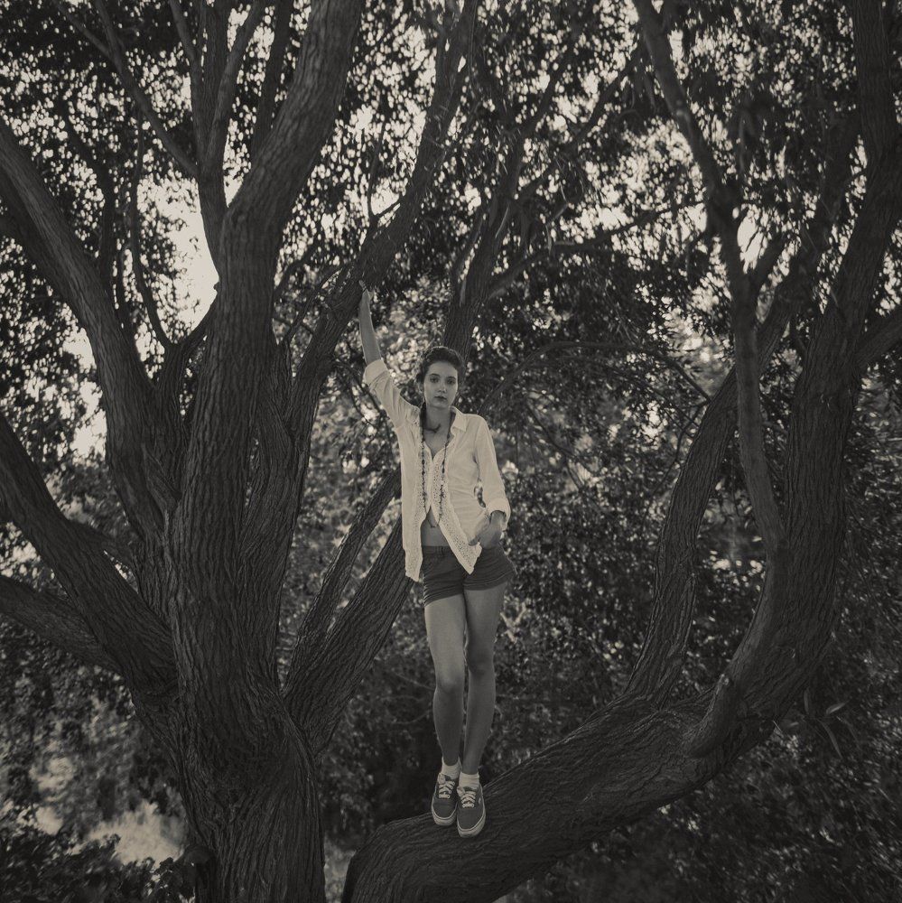 Арина и Старое дерево