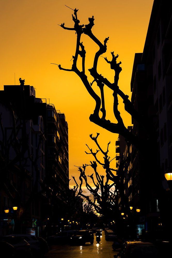 Голодные руки города