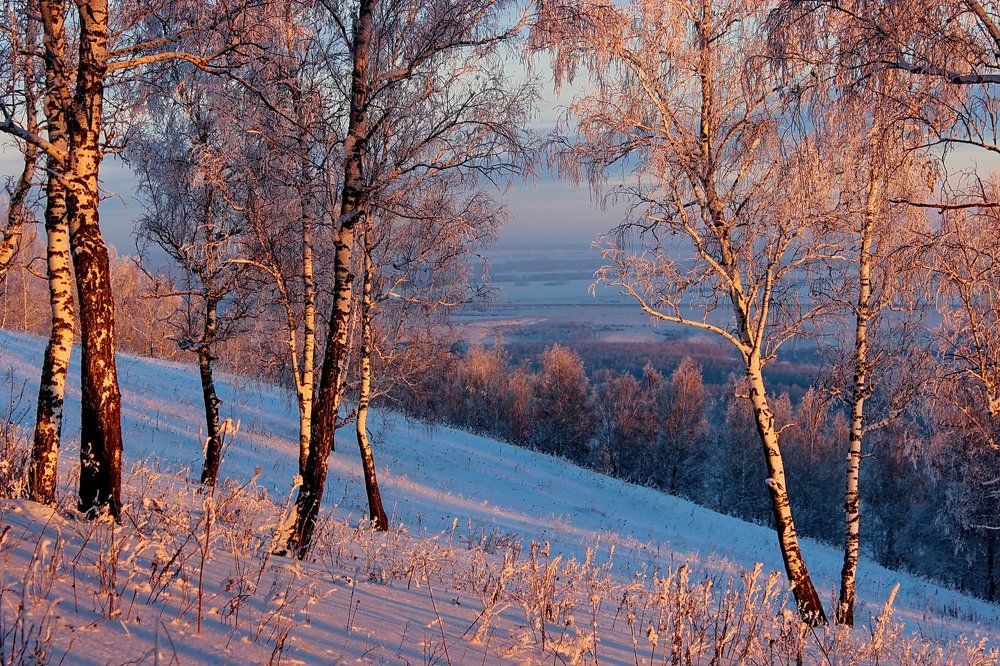 Озарённые розовым закатом.