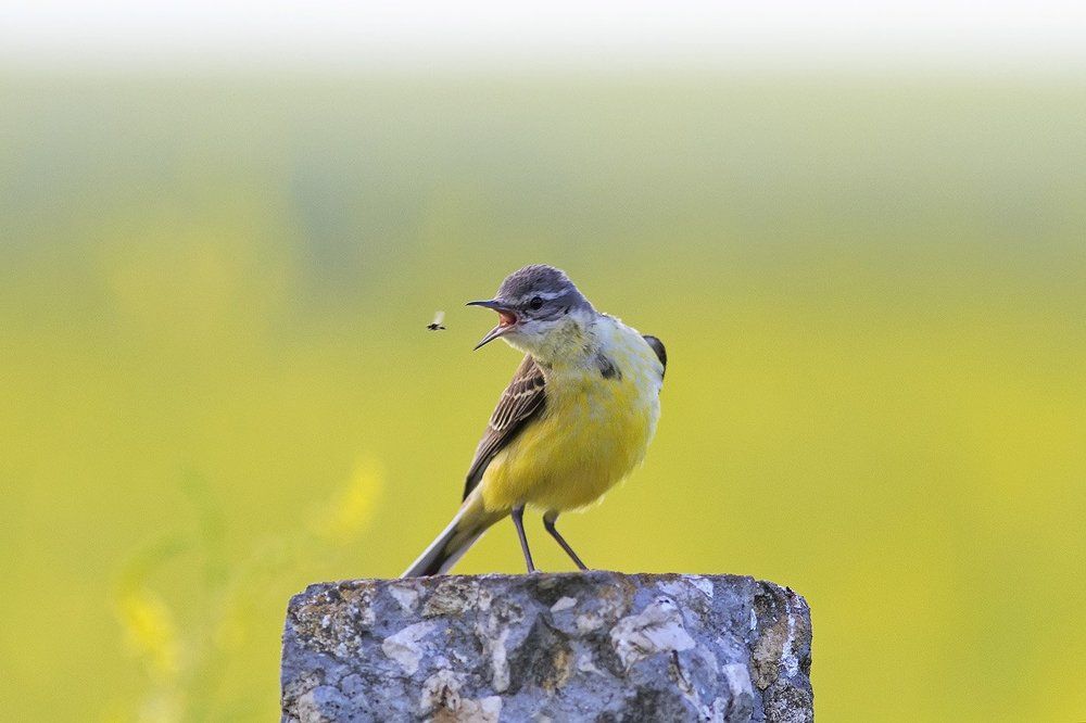 за секунду до...