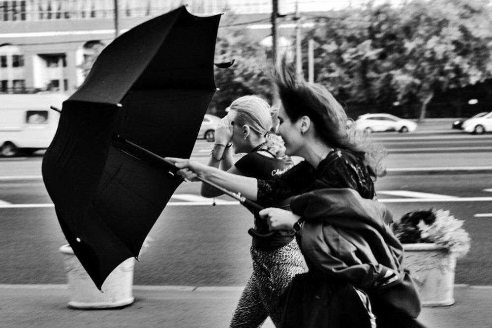 Кажется, дождь собирается!