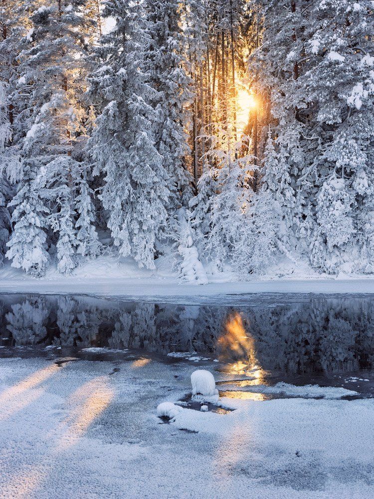 Солнечный костер