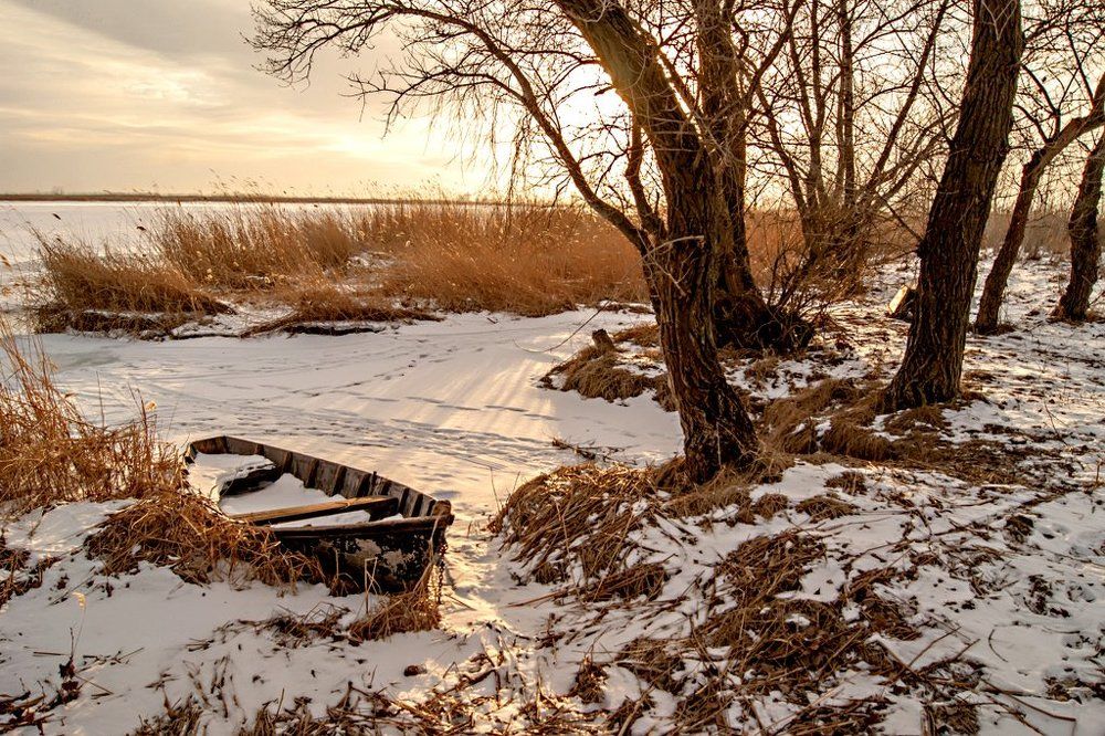 Золотой закат.