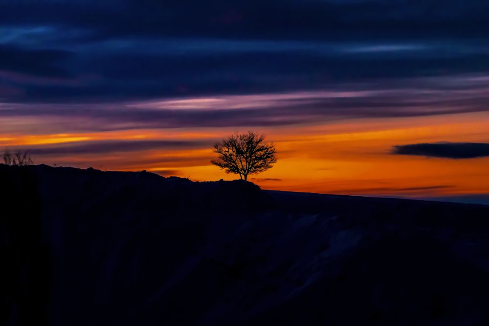 Lone yet Standing Strong