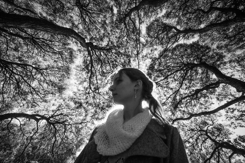 В ветвях ивы.