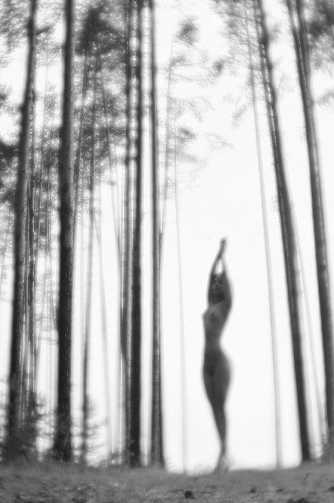 Photograph by Александр Крохов