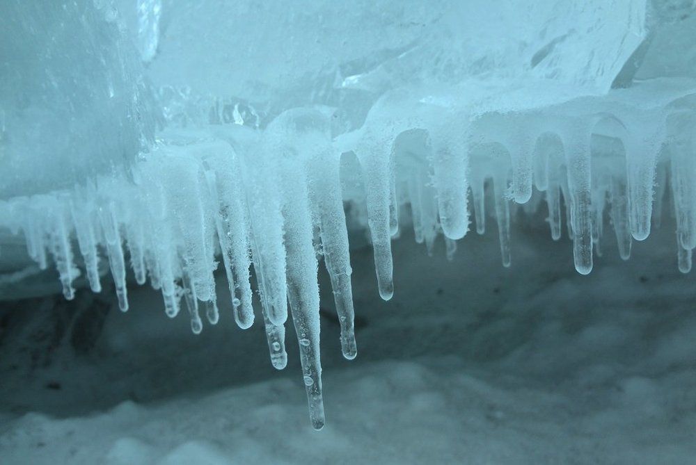 Photo #1658083
