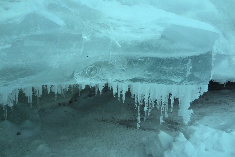 Photo #1658085