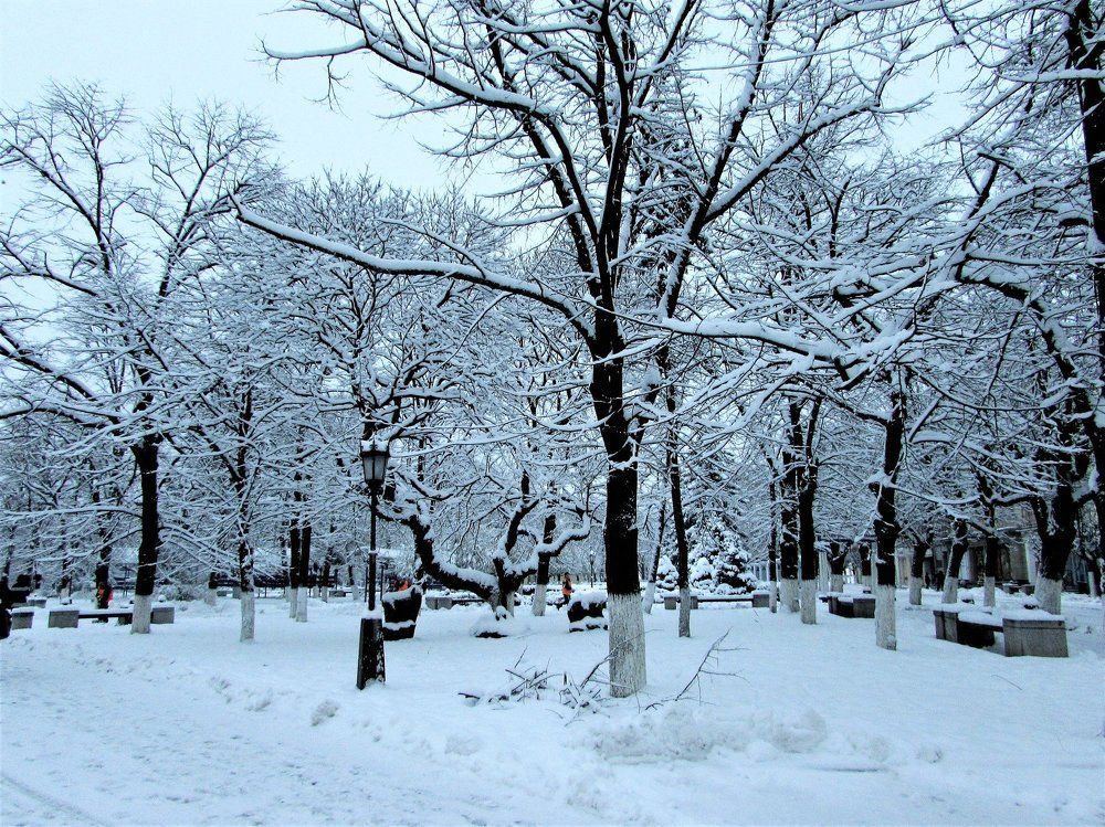 Winter