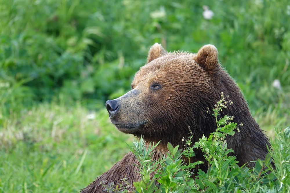 Загадочная улыбка Джоконды