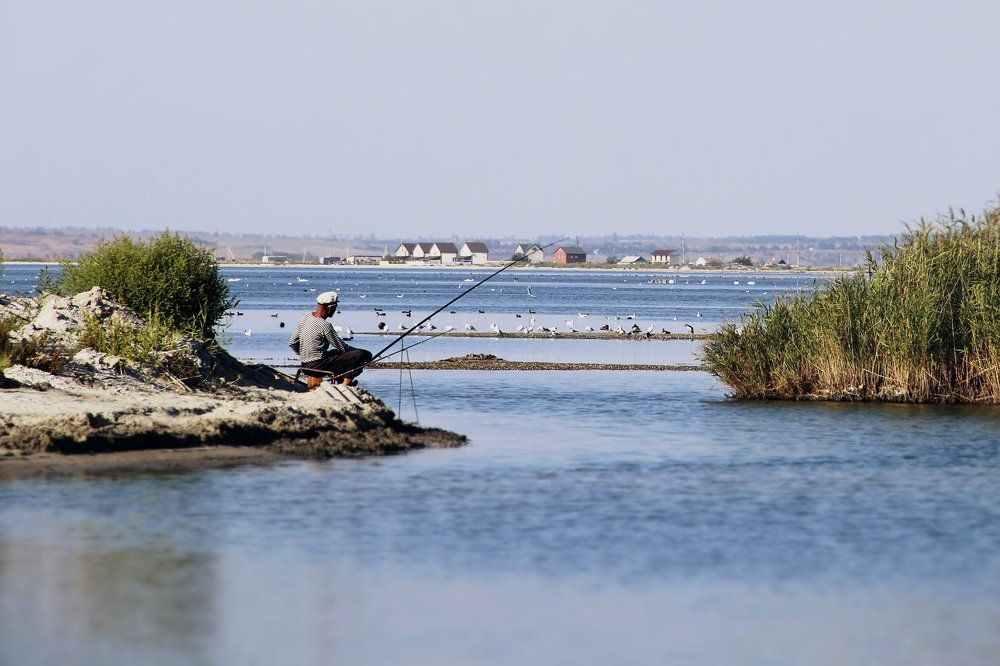 Photograph by Бородина Юлия