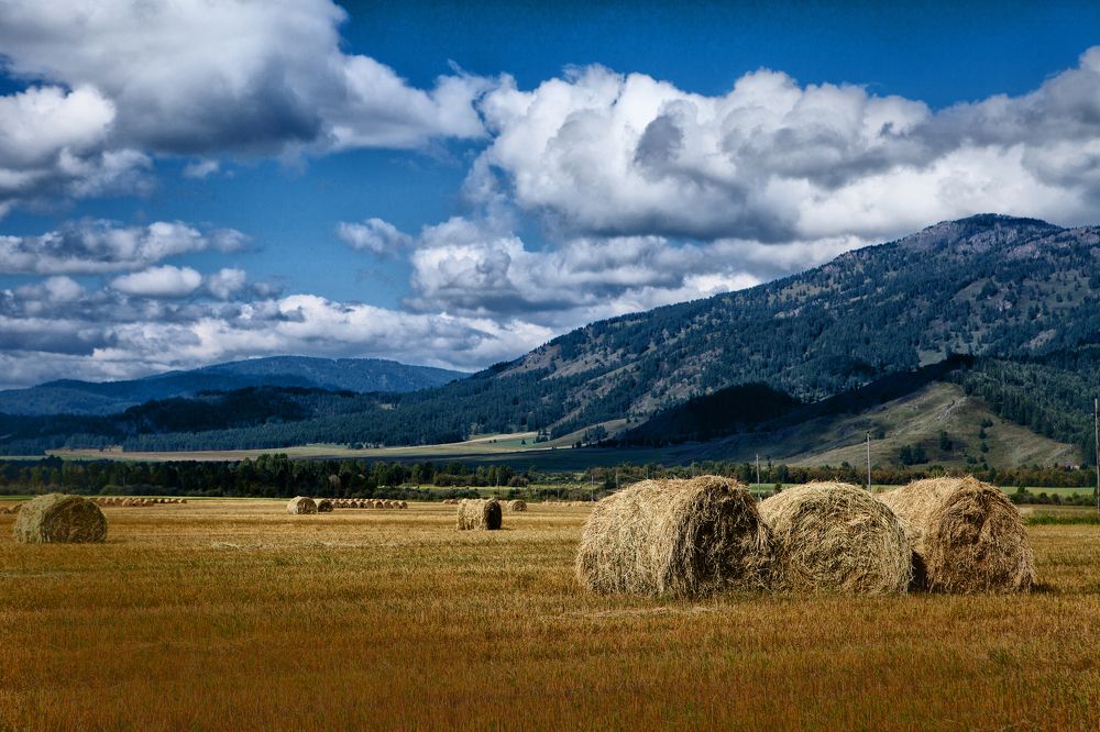 Photograph by Березовская Галина