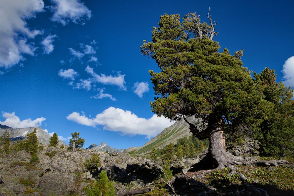 Photograph by Березовская Галина