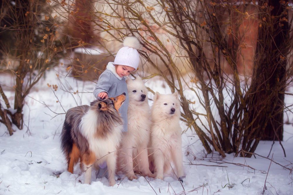 Зимняя прогулка