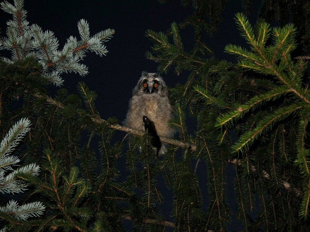 Время ужинать (suppertime) :)