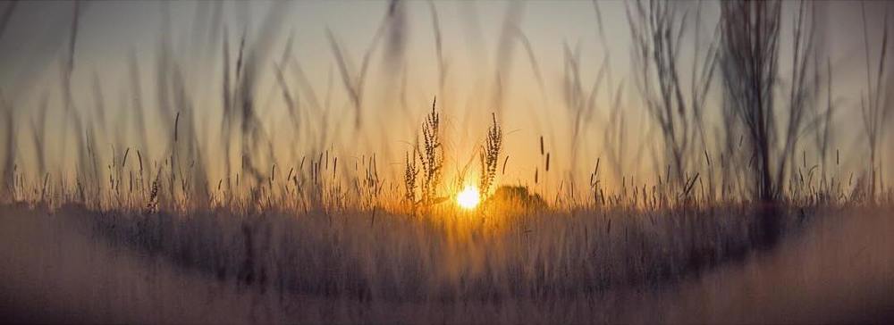 Photograph by Dmitry Izumrudov