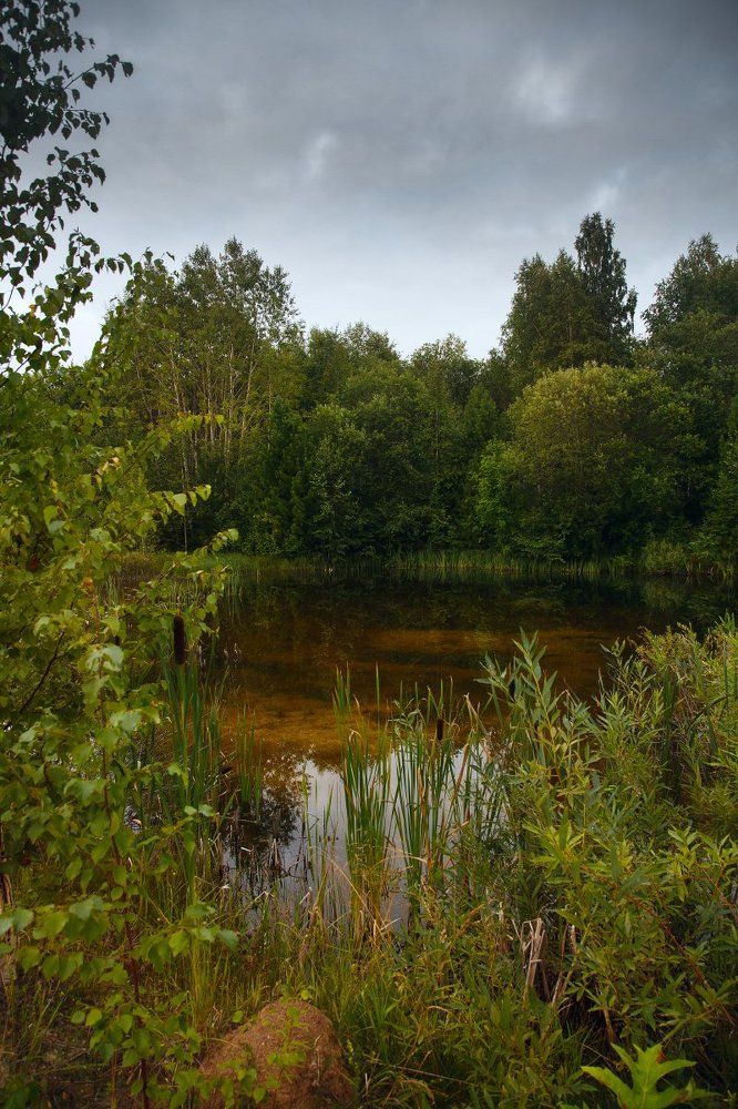 Таёжное озеро