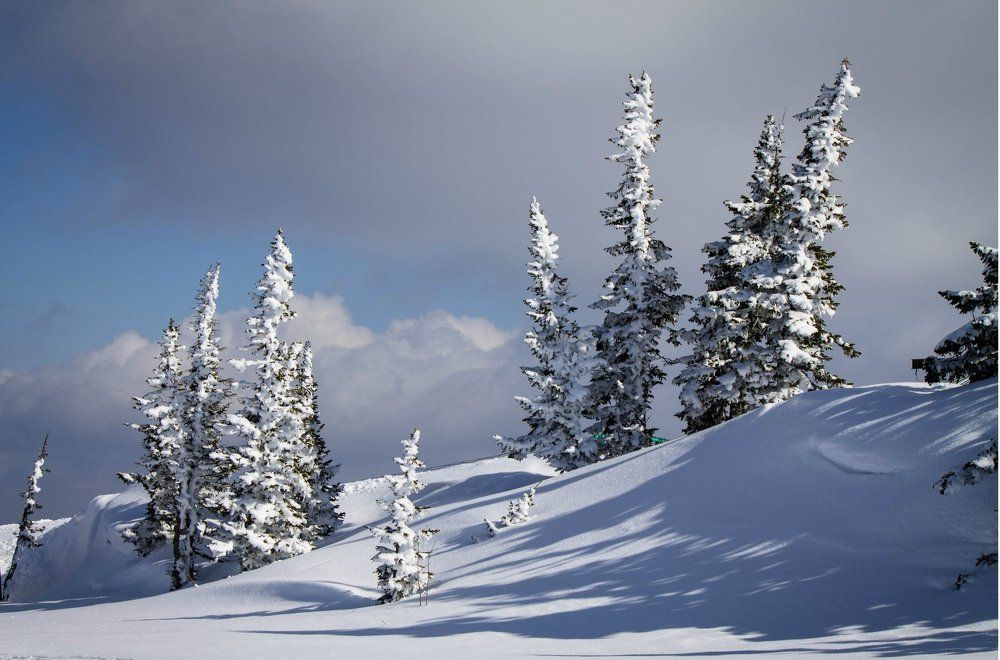 Photograph by Мальцева Дарья