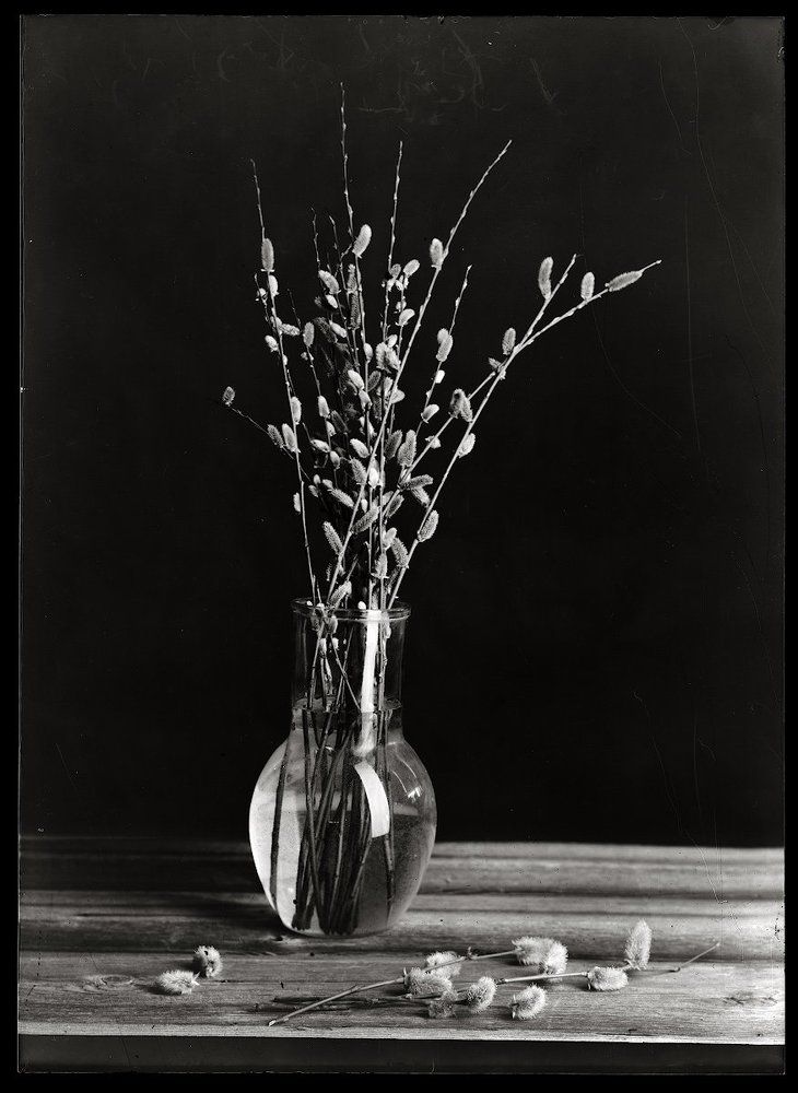 Вербное воскресение